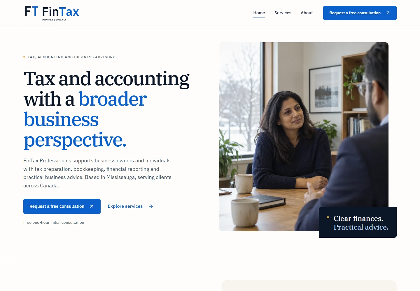 Desktop capture of the FinTax Professionals website